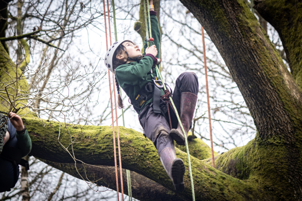 Frost Camp 2024 Surrey Scouts